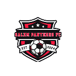 Salem Panthers FC crest